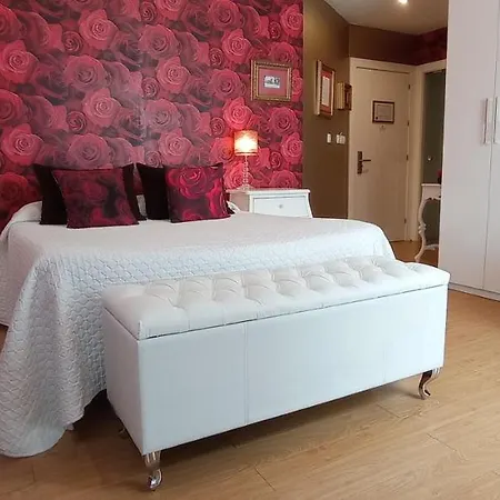 Guest house Alojamiento Buciero Santona